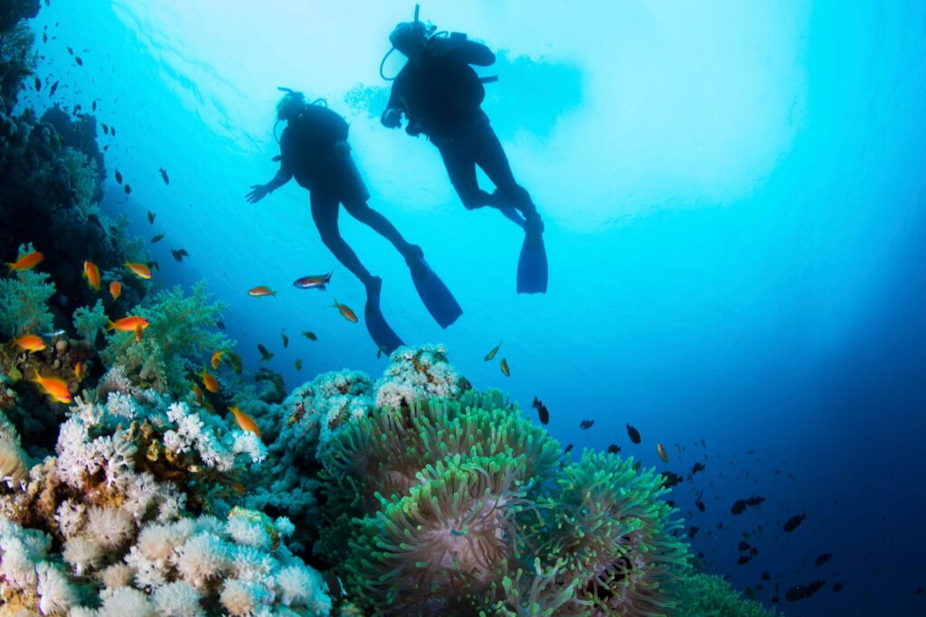 2-Tank Boat Diving in Cozumel: What to Expect
