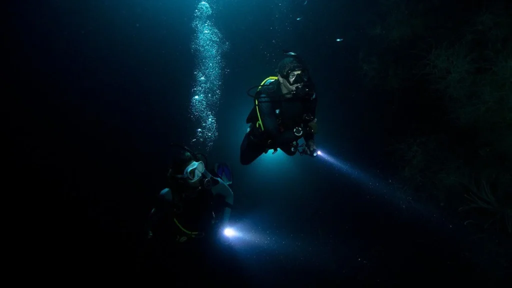 How to Night Dive in Cozumel: The Complete Guide