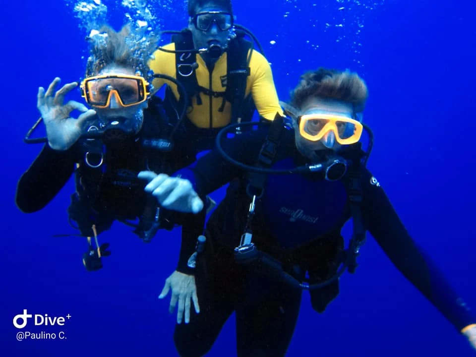 Sharptail Eel in Cozumel | The Complete Diver’s Guide