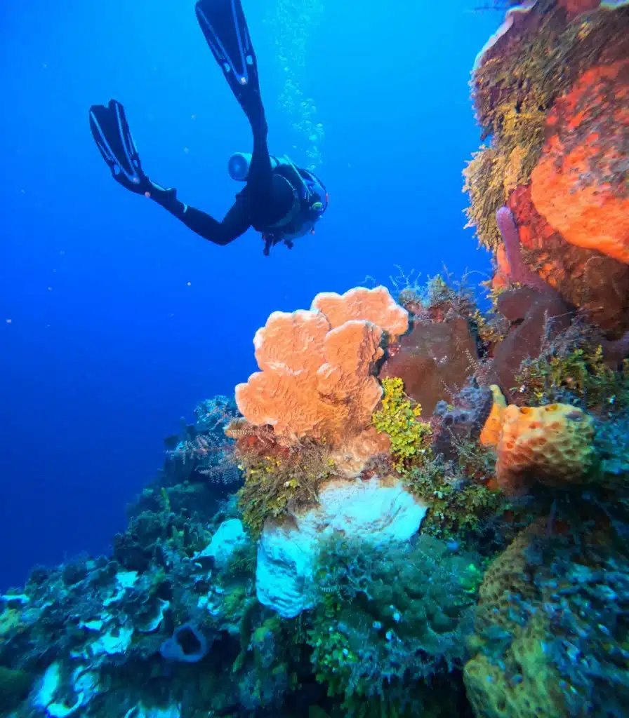 Things To do in Cozumel