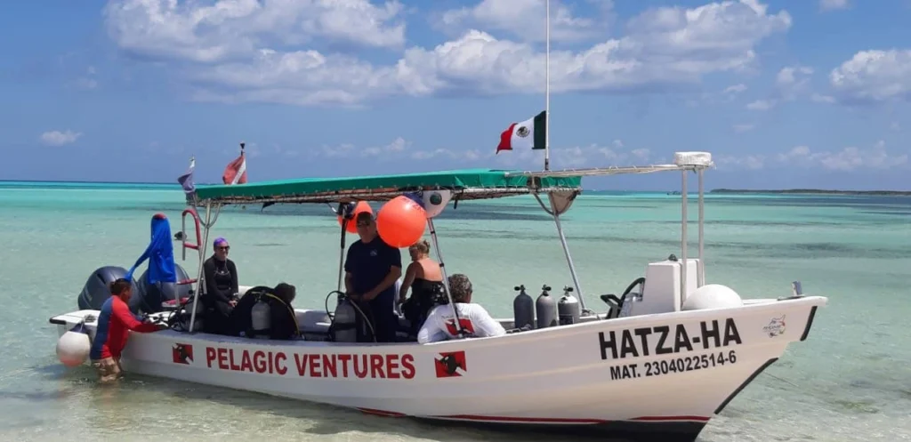 How to Choose a Boat Dive Operator in Cozumel